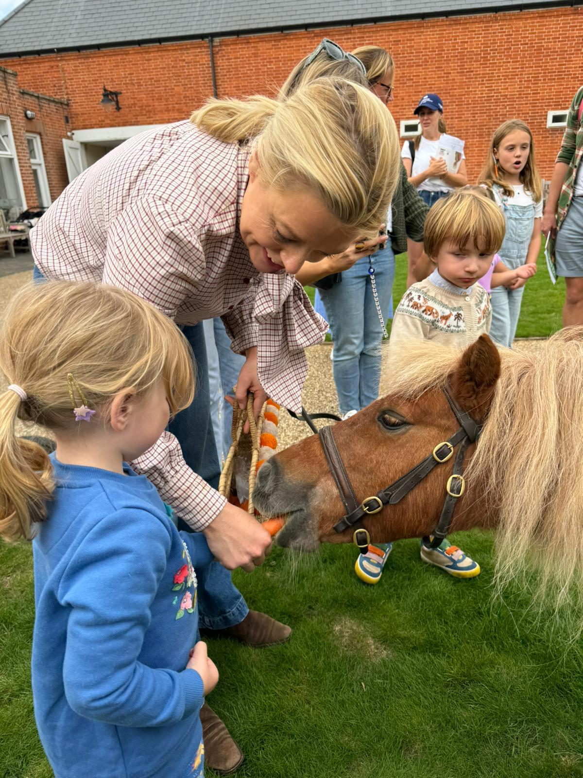 Meet Jack Brock the Shetland pony